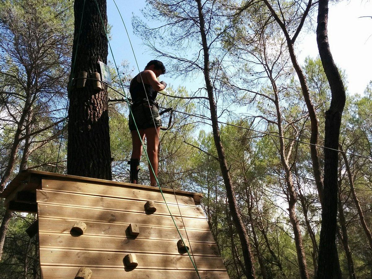Obstacle en hauteur sur le parcours accrobranche