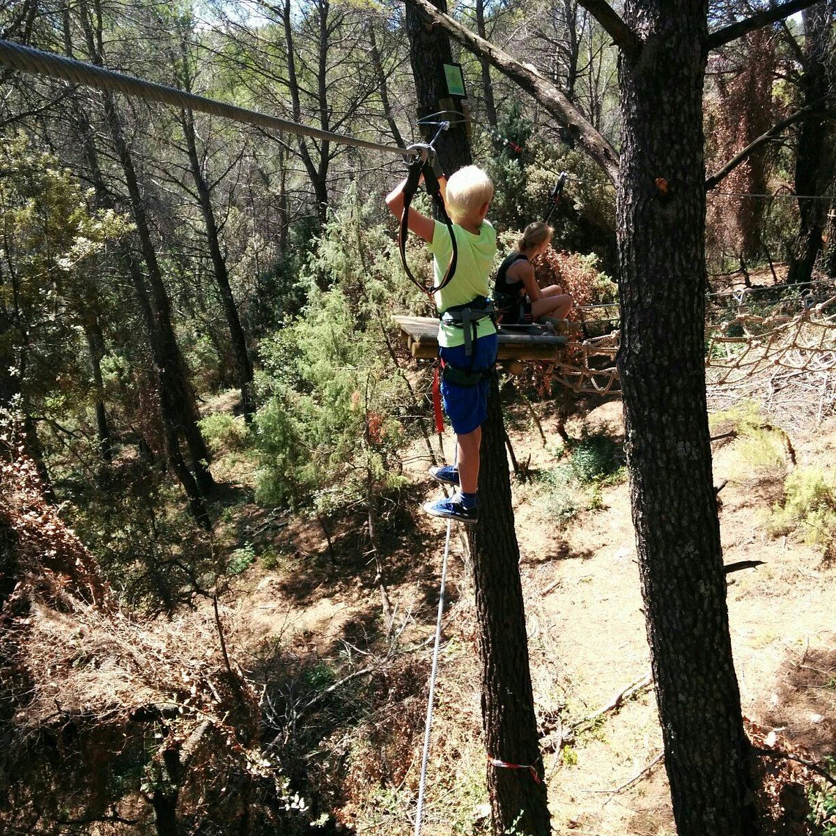 Parcours accrobranche en hauteur dans les pins